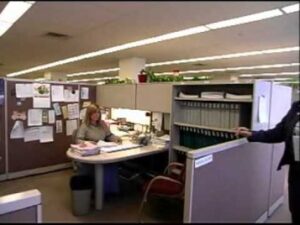 13 Things Bookkeepers Do For Small Businesses