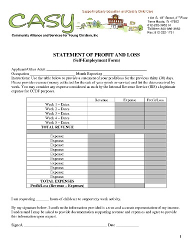 profit and loss statement template